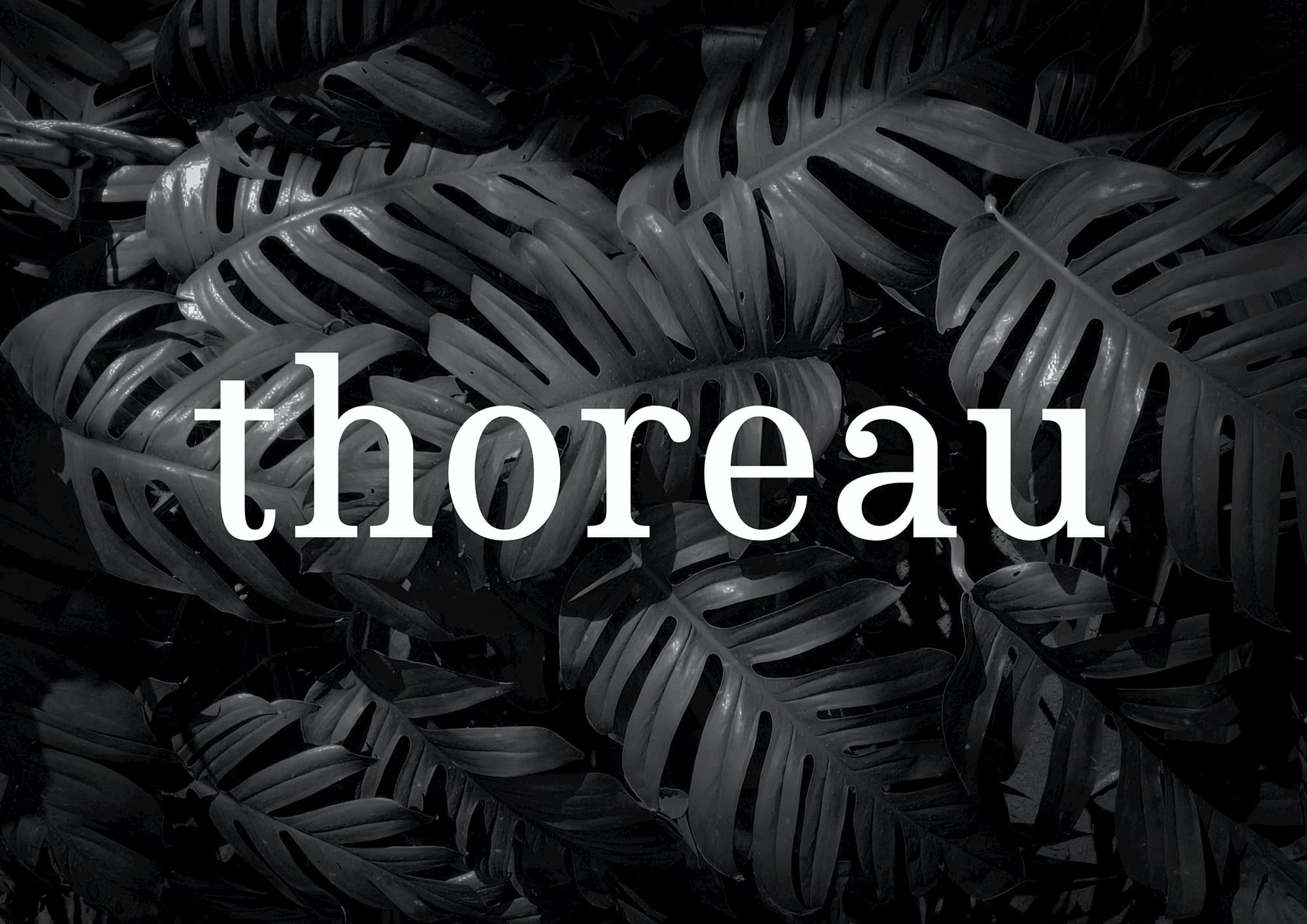 Thoreau type is a transitional serif typography with a contemporary approach