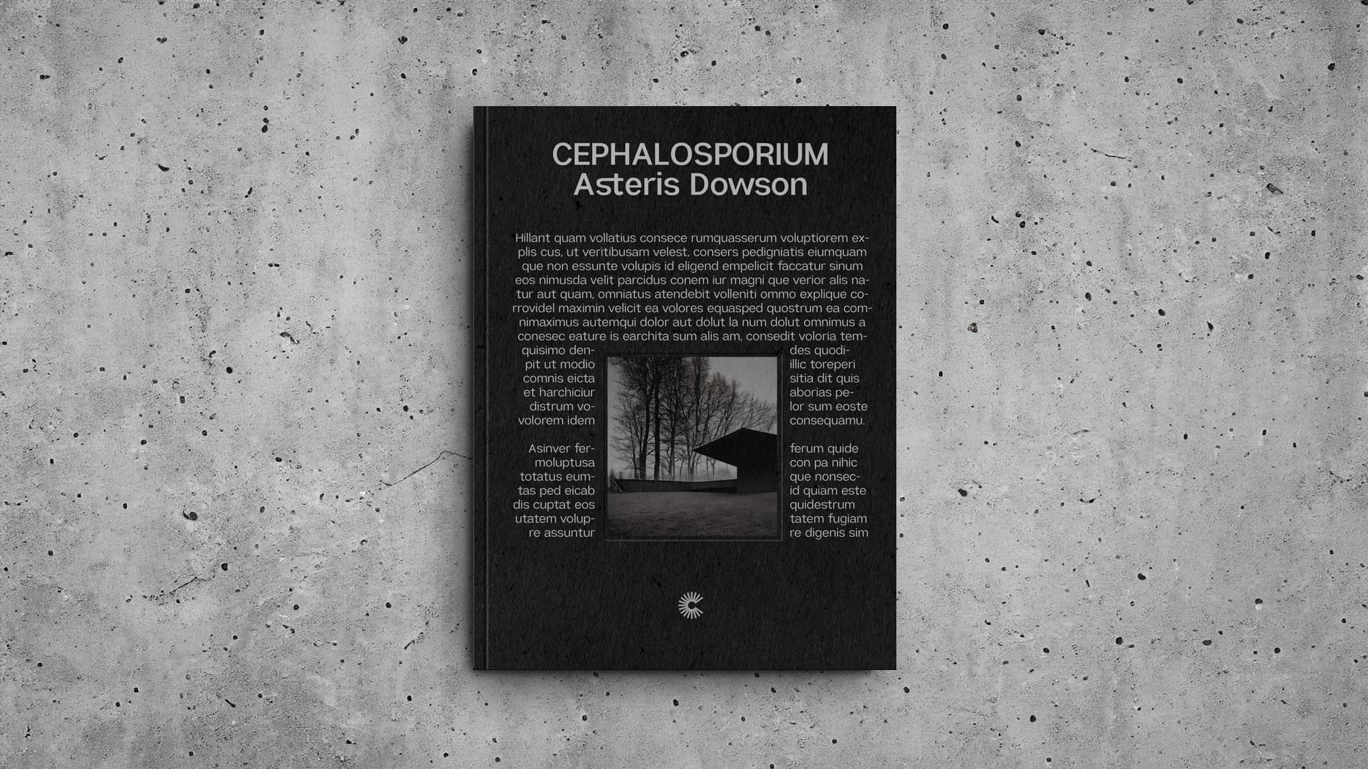 Diseño editorial