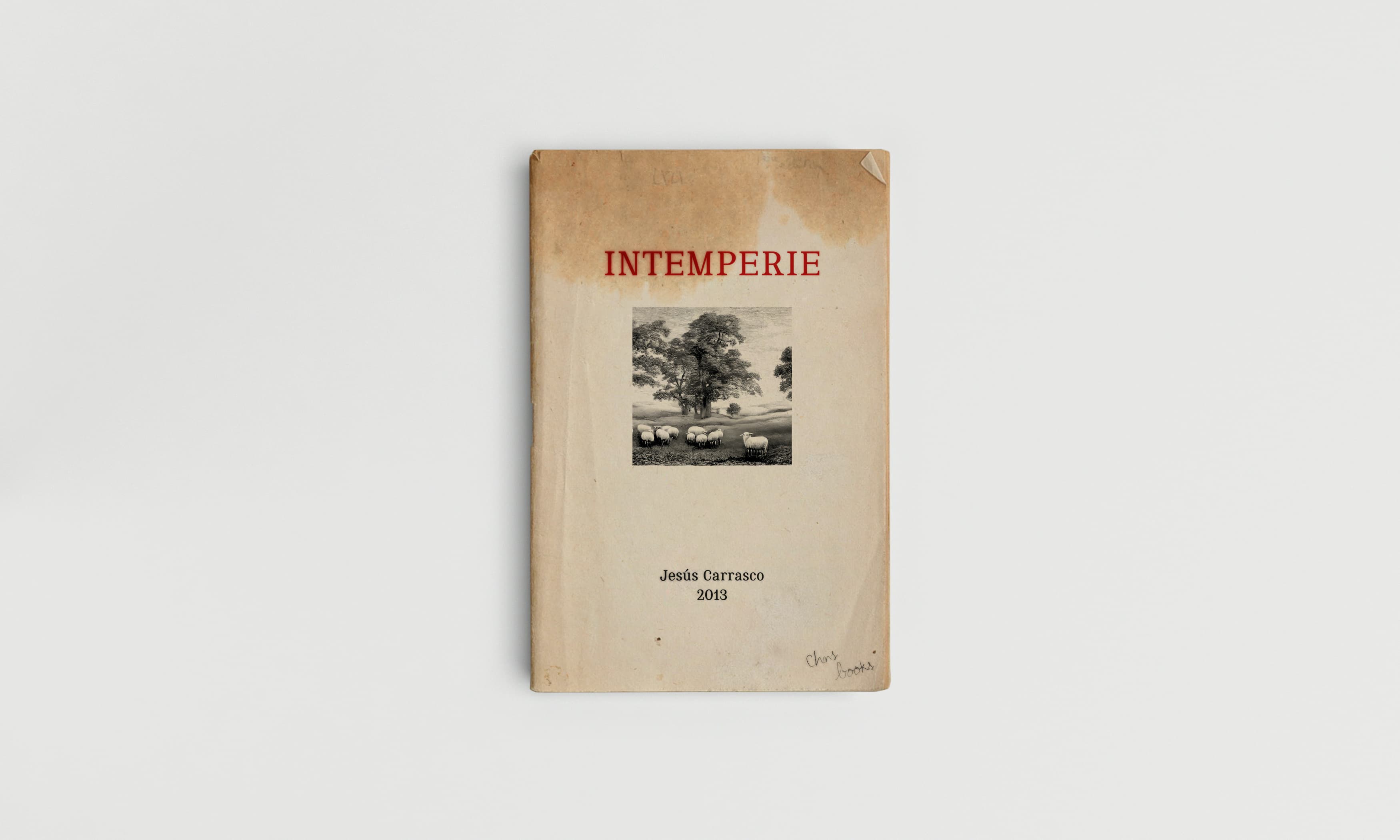 Intemperie by Jesus Carrasco, book cover design